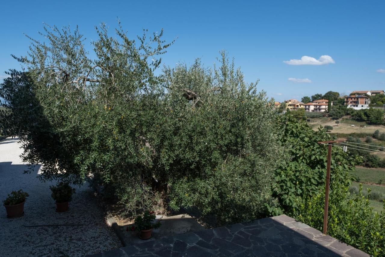 La Casa Di Sara Apartment Città della Pieve Exterior photo